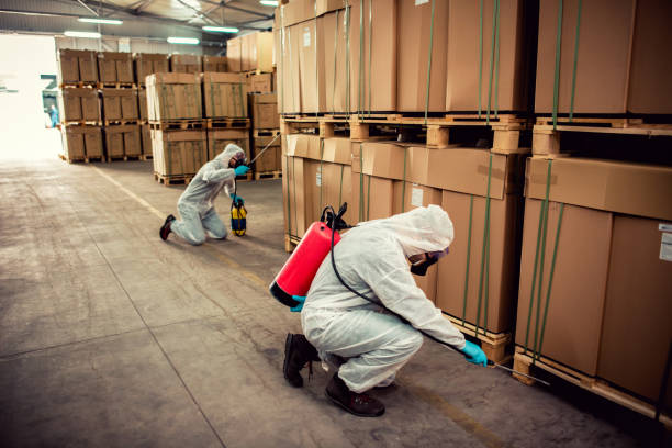 Best Rat Extermination Near Me  in Strawberry, CA
