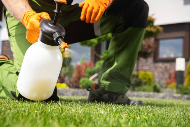 Best Termite Control Services  in Strawberry, CA