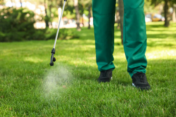 Wasp Removal Services in Strawberry, CA