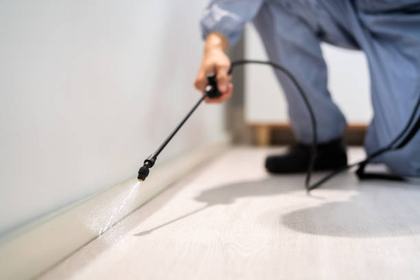 Best Local Pest Control Services  in Strawberry, CA