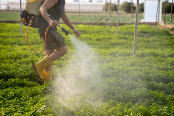 Best Pest Control Near Me  in Strawberry, CA