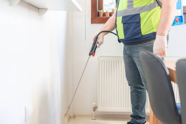 Best Ant Control Services  in Strawberry, CA