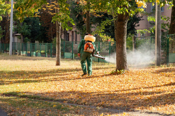 Best Affordable Pest Control Services  in Strawberry, CA