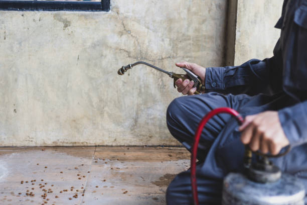 Best Pest Control Near Me  in Strawberry, CA